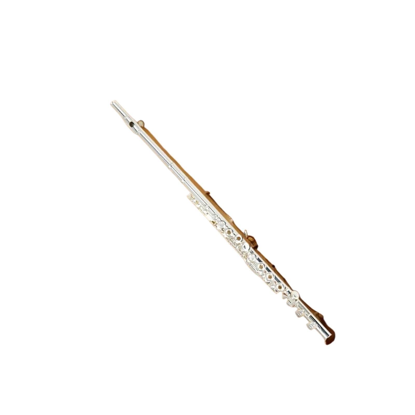 Flute Instruments Flet z wpustem C z 16 otworami