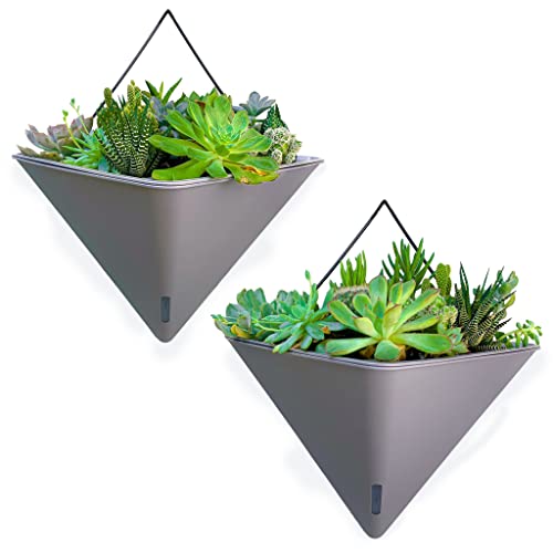 Lalagreen Succulent Wall Planters - 2 Pack, 12 Inch Large Self Watering Wall Hanging Planters For Indoor Plants Gray Wall Mount Triangle Geometric Flower Vase Pot Black Metal Hanger Living Wall Decor #TOP16
