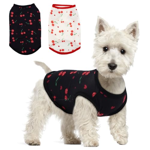 Hjumarayan Pack 2 Camiseta Perro Pequeño, Transpirable y Elástica Jersey para...