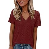 Womens Summer Tops Trendy Eyelet V Neck T Shirts Loose Casual Short Sleeve Tshirts Shirts Turtleneck Tee (Brick Red, S)