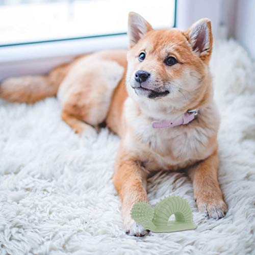 UKCOCO Brinquedos para Mastigar Cachorros Em Forma de Caracol Cachorro Escova de Dentes Brinquedos B