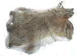 Roger Enterprises Natural Gray Grey Top Grade Rabbit Fur Pelt Skin Taxidermy Jumbo Size XXL