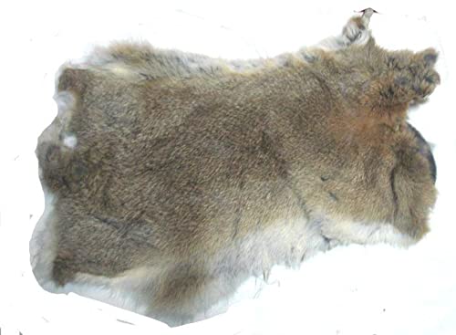 Roger Enterprises Natural Gray White Grey Top Grade Rabbit Fur Pelt Skin Taxidermy