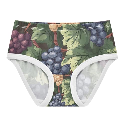 Vintage Grape Pattern Toddler Girls's Underwear 2T 202c1132