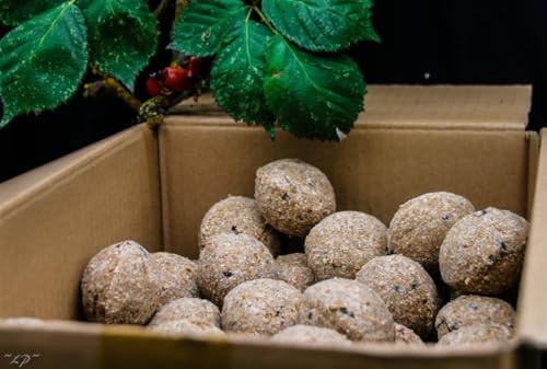 Anhaltiner Meisenknödel 200St. ohne Netz mit Insekten Rindertalg Wildvögel Fett