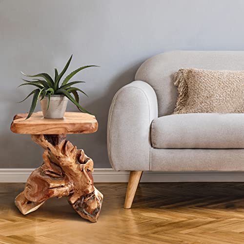 Warmaxx WARMPLANTST Natural Irregular Shape Tree Stump End Table Plant Stand 14"X13"X18"H Solid Cedar Wood Outdoor Rustic Sit Foot Stools Live Edge Coffee Side Table Living Room Bedroom Outdoor Garden thumb #11