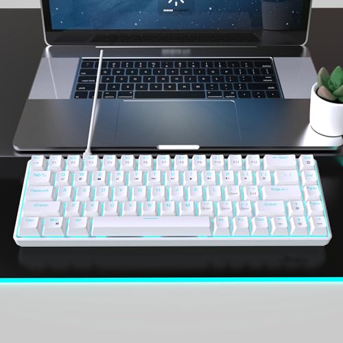 Clavier mécanique 60% compact pour optimiser l'espace de votre bureau de télétravail - 5