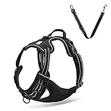 EXPAWLORER Best No-Pull Dog Harness. 3M Reflective Outdoor Adventure Pet Vest with Handle. 3 Stylish Colors and 5 Sizes.