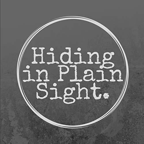 Play One Long Day by Hiding in Plain Sight on Amazon Music