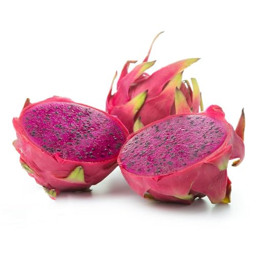 200 piezas Semillas de del dragón para de jardin exóticas resistentes al exterior resistentes al invierno para contenedores,