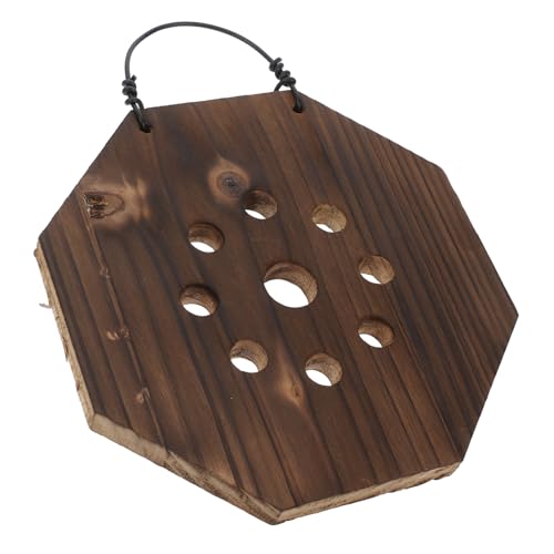 iplusmile Planteur Mural pour Fougères Kit pour Jardin Vertical Intérieur pour Platycerium Orchidées Massif Carbonisé