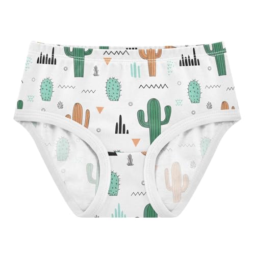 Cactus Toddler Girls's Underwear 2T 202c1629