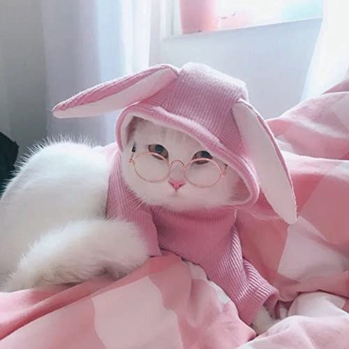 Round Pet Cat Glasses Lovely Sunglasses for Little Dog Cat Eye-wear Reflection Glasses Photos Props Pet Supplies(Pink) - Image 4