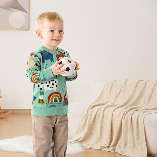 Image of GFQLONG Toddler Boy Sweatshirt 2T 3T 4T 5T Long Sleeve Shirts Boys Sweater | cotton dinosaur cartoon pullover crewneck sweatshirt,toddler boy sweaters tops,kids fall winter clothes