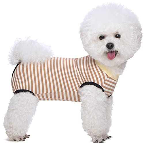 KUVEELA PET pp㕞 ^ p㕞 pEFA pJo[ ی앞 GUxXJ[ɑ IX Xp D  یiIWXgCvAlj