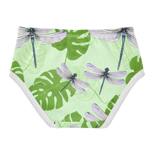 Toddler Underwear Floral 2t Cotton Girl Panties Cute Fun Briefs Undies Kids Dragonflies Green Leaves Floral2