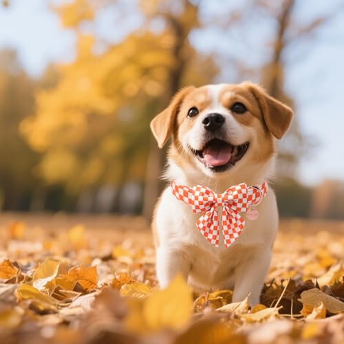Image of Fall Dog Collar with Bow Tie, Orange Plaid Bowtie Dog Collar, Autumn Bowtie Collars for Puppy Boy Girl Dogs, Comfortable Cotton Dogs Collars with Metal Buckle