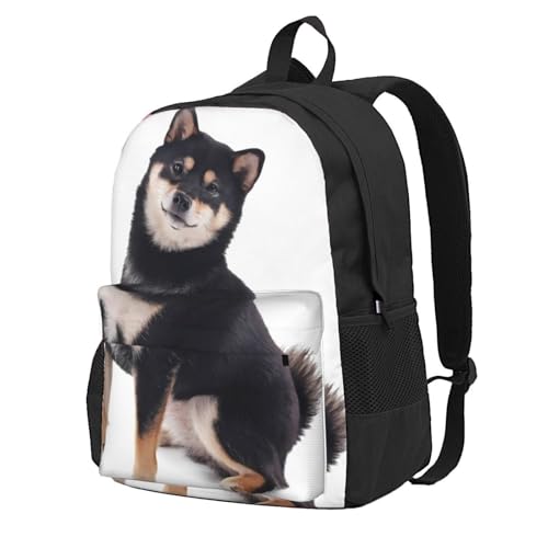 [RFSHOPQS] bN obNpbN  bNTbN rWlX }U[YobO Č  y ʋ ʊw o s @\ y ϏՌ @\ ʋ ʊw  o s lC jp