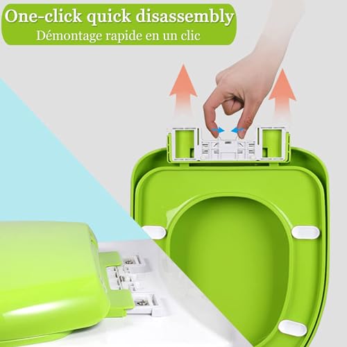 Abattant WC en forme de D déclipsable facile à nettoyer
