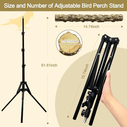 Image of 16-63 Inch Height Adjustable Bird Perch Pepper Wood Bird Training Perch Stand Parakeet Perches Indoor and Outdoor Parrot Stands for Small to Medium Bird