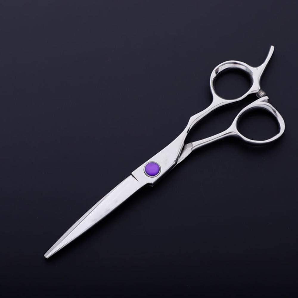 Set Forbici Da Parrucchiere Con Delicato Manico A Drago 15 Cm Argento-5,5" Barbieri Da Salone O Per Uso Domestico (5.5in)