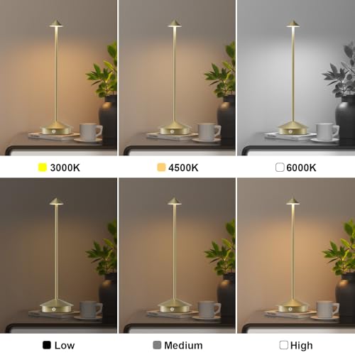 Aoceley 2-Pack 6000Mah Rechargeable Led Table Lamps,Outdoor Cordless Table Lamp Waterproof Portable, 3-Color Stepless Dimmable Modern Lamp For Restaurant/Bedroom thumb #1