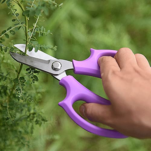 Büroschere, Bastelschere, Blumenschere, Edelstahl, Küchenschere, Gartenschere, Baumschere, Gartenschere, Astschere, Schneider, Blumenladenschere Scheren