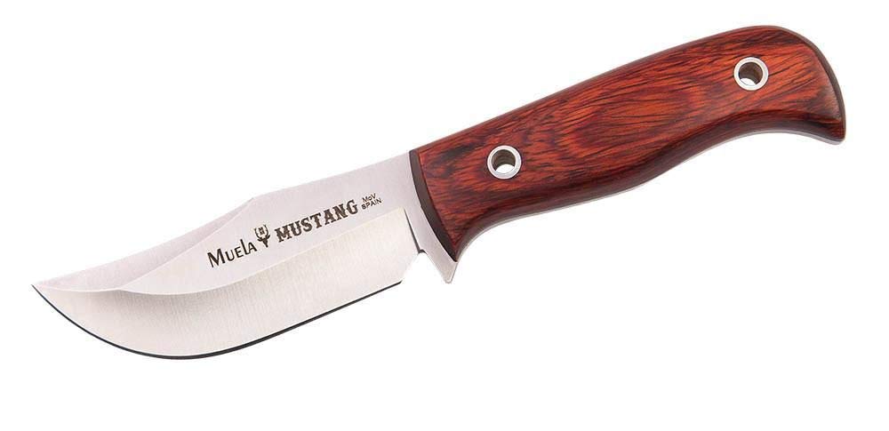 Muela cuchillo de caza MUSTANG MUSTANG-8R con hoja de acero inoxidable ACX-380 de 8 cm y empuñadura de madera coral de 9 cm para Caza, Pesca, Supervivencia y Bushcraft + Portabotellas de regalo