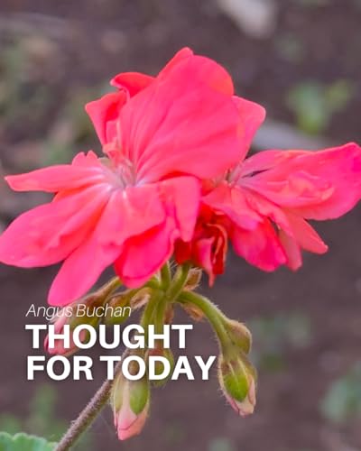 Self Denial Podcast Por  arte de portada