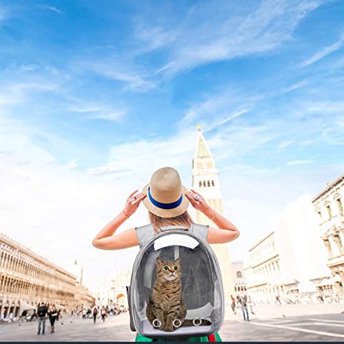 Image of The Pets Company Transparent Capsule Breathable Airline-Approved, Ventilate Carrier Backpack for Travel, Hiking and Outdoor for Cats & Kittens - Silver Grey