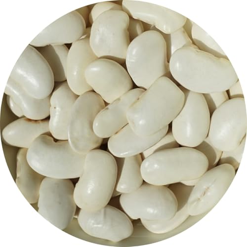 A É Y ԓ 񂰂 唒| A É CQ} runner bean B CQ  唒| (500g)