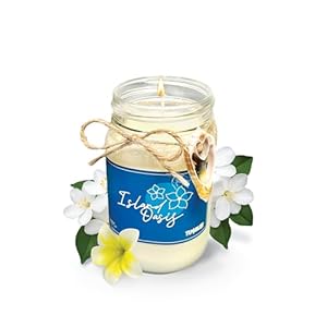 Beach candle by tumbler home scented soy candle made in usa beachy candle makes great coastal decor long lasting 90 hour burn time island oasis  urban country home decor