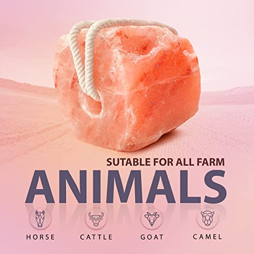 The 15 Best Salt Licks For Goats of 2024 [Verified] Cherry Picks