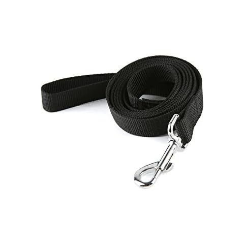 Taida Strong Durable Nylon Dog Training Leash, 6 Feet Long, 1 Inch Wide, for small and medium dog (Black) Cover