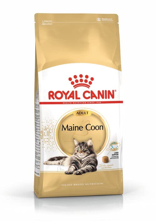 ROYAL CANIN Maine Coon Adult | Doppelpack | 2 x 400 g | Trockenfutter für Katzen | Angepasst auf den Bedarf von Maine Coon Katzen | Zur Unterstützung der Gelenke und Knochen