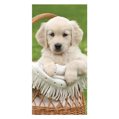 damaloo Hunde Kinder Handtuch groß aus Baumwolle – Hundewelpen Badetuch für Jungen, Mädchen & Erwachsene - XXL Duschtuch 70x140