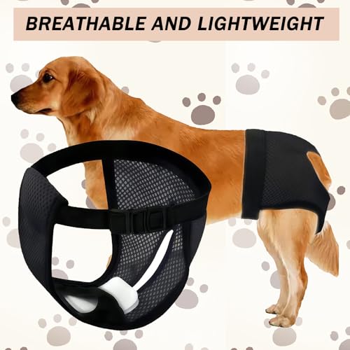 MUNSKT 3 Pack Hunde Läufigkeit Unterhose Hunde Windeln mit 9 Damenbinden Waschbare Schutzhöschen Verstellbare Schutzhose Schwarz (XL)