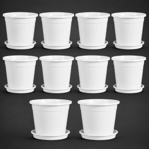Image of 12 Inch Glossy White Plastic Planter with Bottom Plate | Heavy Duty Flower Pot with Tray for Indoor Home Decor, Balcony, Living Room & Outdoor Garden (10 Pot, White)