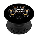Photo Gallery stubborn tricks cat owner burmilla cat popsockets popgrip intercambiabile Photo Gallery stubborn tricks cat owner burmilla cat popsockets popgrip intercambiabile