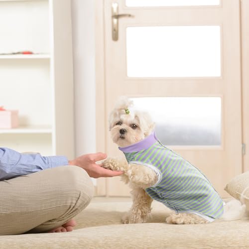 Image of FEimaX Dog Surgery Recovery Suit Female and Male Spay with Pee Hole, Pet Body Suits for Puppy After Spayed, Neuter Surgical Onesie for Small and Medium Dogs Cats, Alternative Bandages E-Collar & Cone