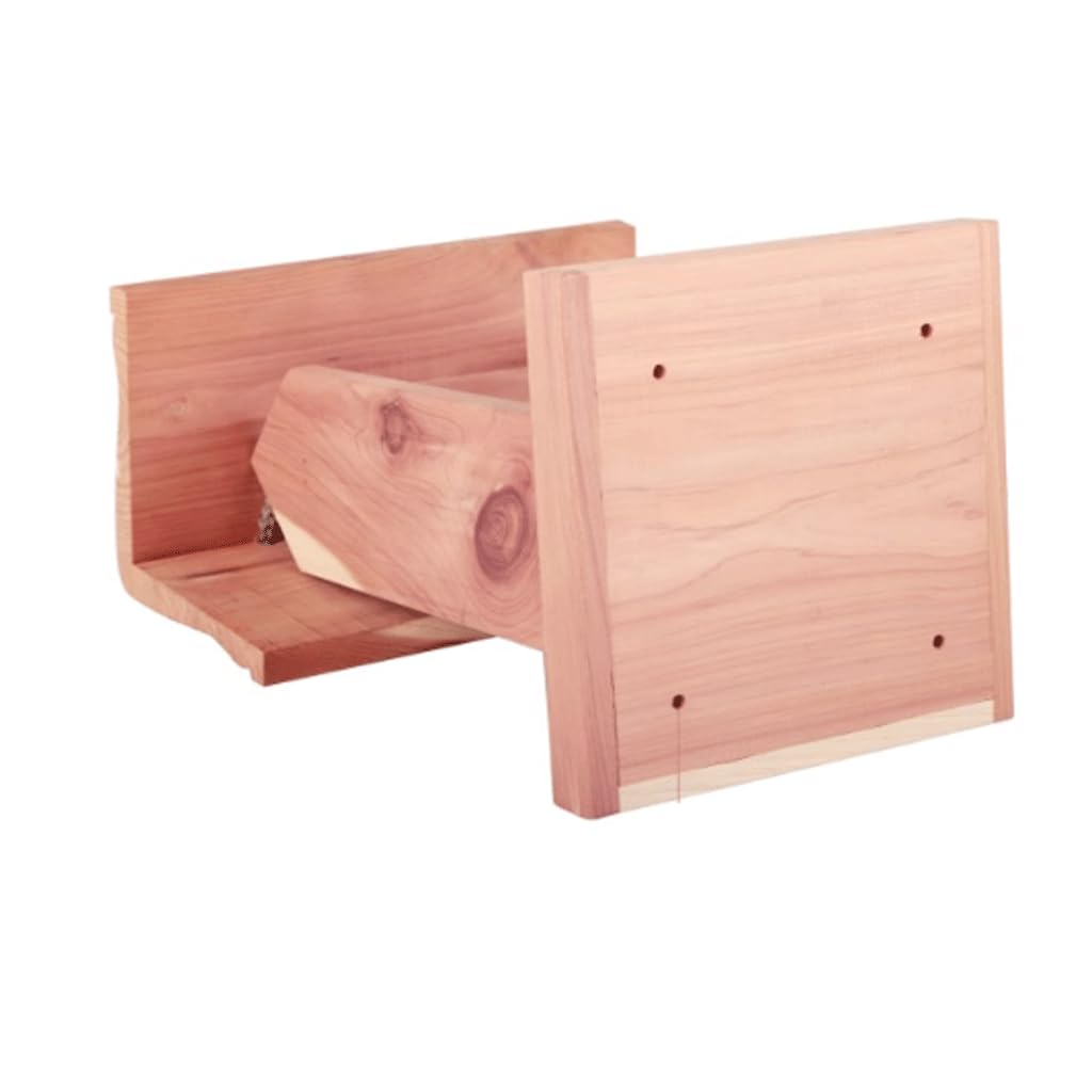Jaula de Semillas acrílicas Concisa, comedero de Madera para pájaros, comedero para pájaros de Alta Resistencia para Colecciones de jardín, Amantes de Las Aves Comederos para pájaros