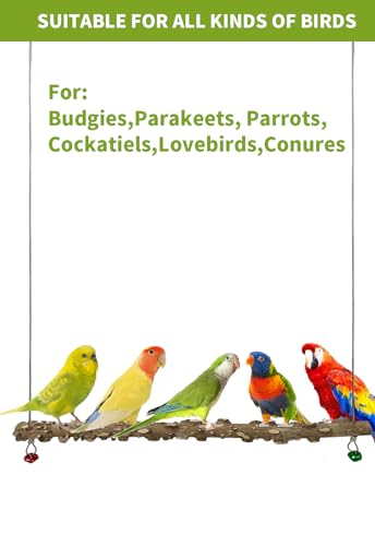 Image of FlidRunest Bird Parrot Swing Toy, Natural Pepper Wood Bird Perch Stand, Hanging Bird Window Ceiling Swing Perch for Parrot Parakeet Conure Cockatiel Small Birds