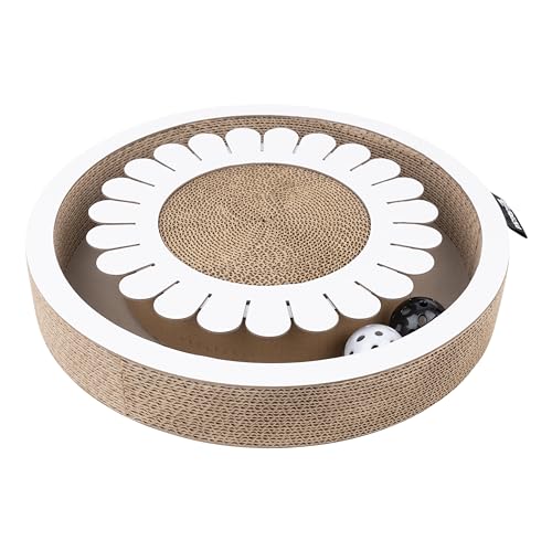 District 70 Bloom White