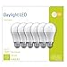 G E LIGHTING 93098310 LED Light Bulbs, Frosted Daylight, 13-Watt, 1100 Lumens, 6-Pk. - Quantity 1