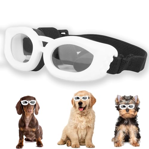 ���p�S�[�O�� ���^����AUV/��/�ق���/���ی�y�b�g�T���O���X�A���߉\�ȃX�g���b�v�t���A���^���p�A�E�g�h�A�T���O���X�A�ȒP����