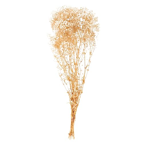 Ramo de flor seca para decoración de hogar beige 120g miniatura 1