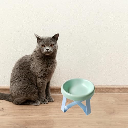 Gamelle chat céramique contre les vomissements avec socle surélevé stable - 5