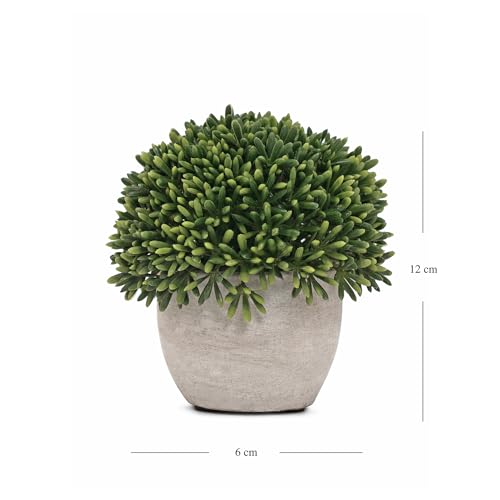 Image of Pure Home and Living Green Faux Round Grass with Cement Pot