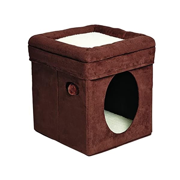 Midwest Curious Cat Cube, Katzenhaus/Katzenhaus – Bild 5