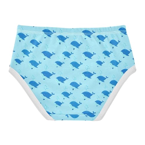 Ocean Whale Blue Toddler Girls's Underwear 2T 23031832